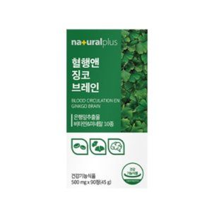 혈행앤 징코 브레인
