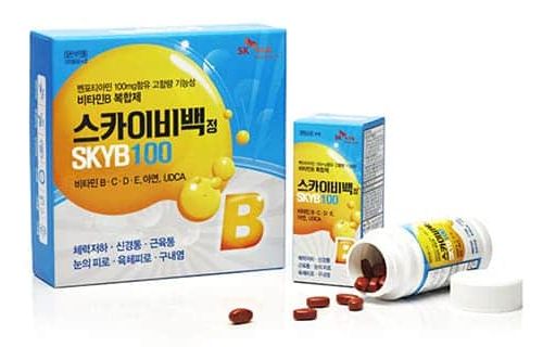 스카이비백정