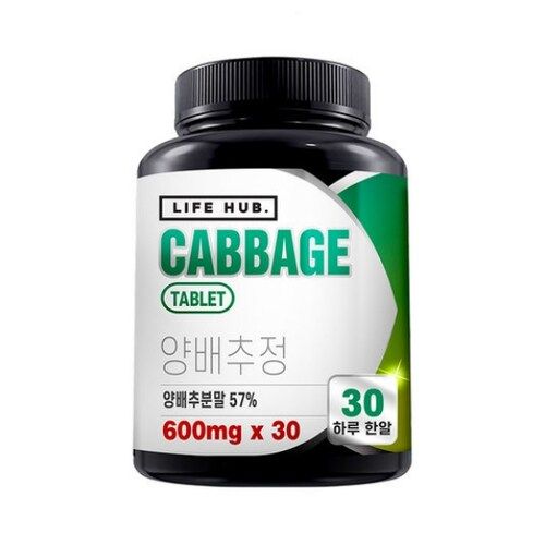 라이프허브 양배추정