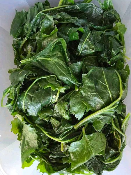 Thumbnail of 🥬 Seasoned Chwinamul Greens