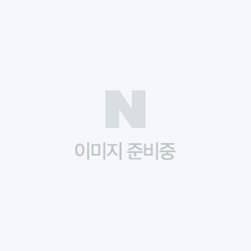 오리지널 BCAA 핑크레몬에이드