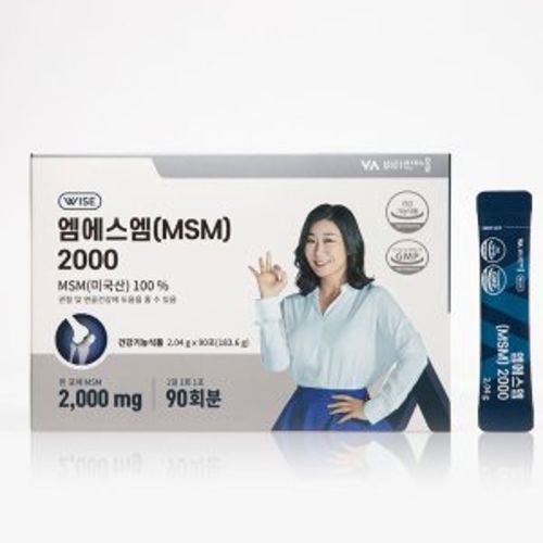 와이즈 엠에스엠 2000