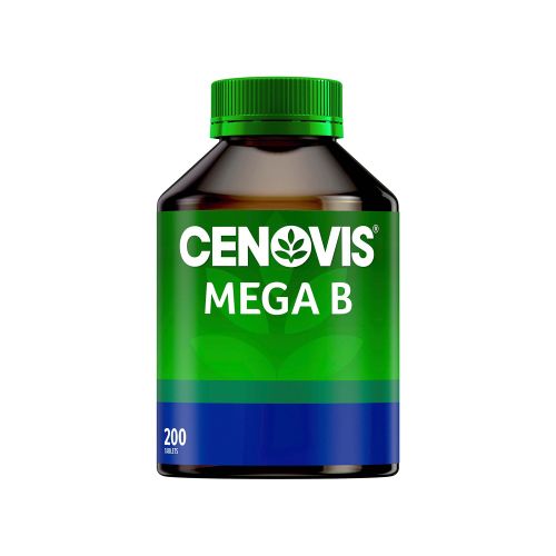 메가 B