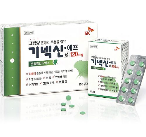 기넥신에프정 120mg