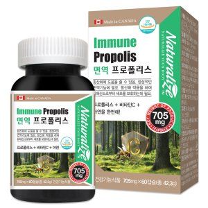 면역 프로폴리스