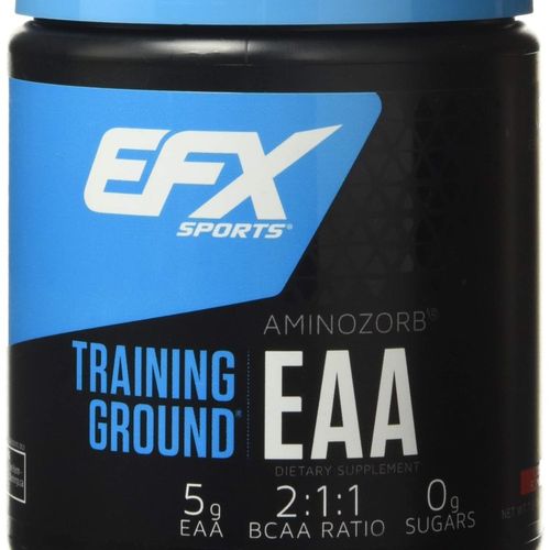 트레이닝 그라운드 EAA