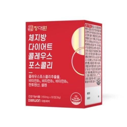 장대원 체지방 다이어트 콜레우스포스콜리