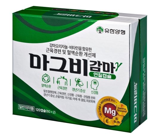 마그비감마