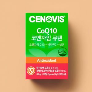 코엔자임 큐텐