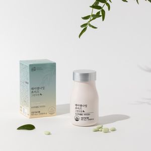 데이앤나잇 초이스 그린티컷