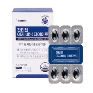 잔티젠 이지 버닝 다이어트