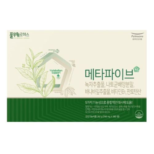 메타파이브