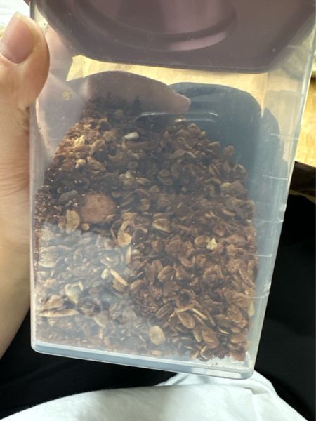 自家製シナモングラノーラのサムネイル