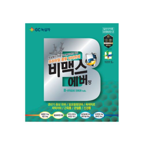 비맥스 에버정