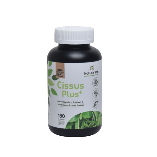 시서스 플러스