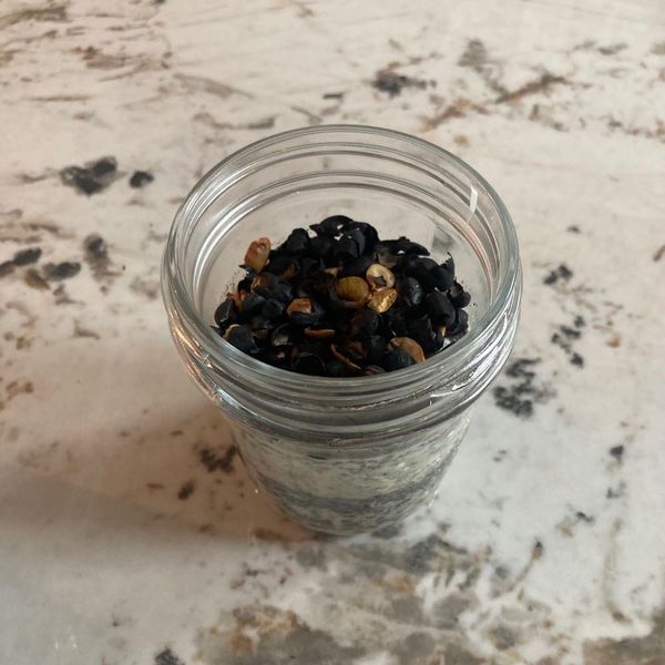 흑임자 오나오🖤🥄의 썸네일