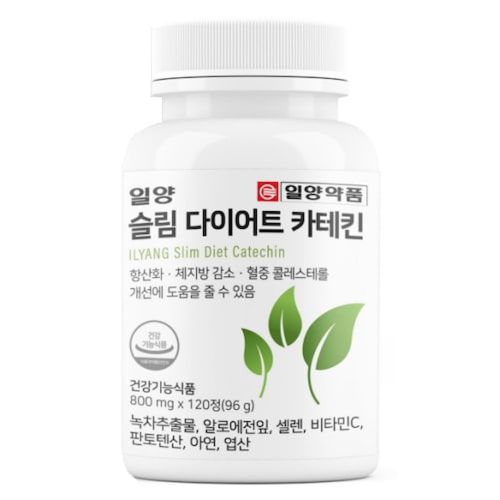 슬림 다이어트 카테킨