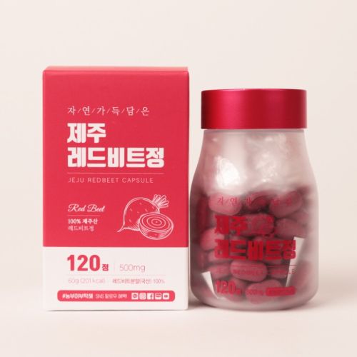 제주 레드비트정