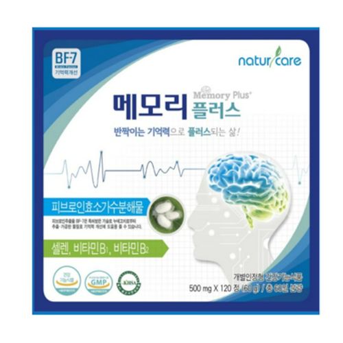 메모리플러스