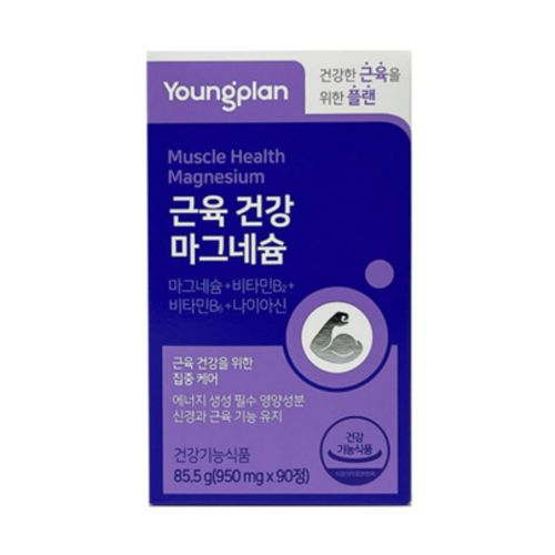 근육건강 마그네슘