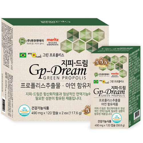 지피드림