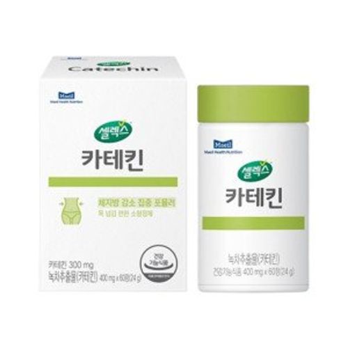 카테킨