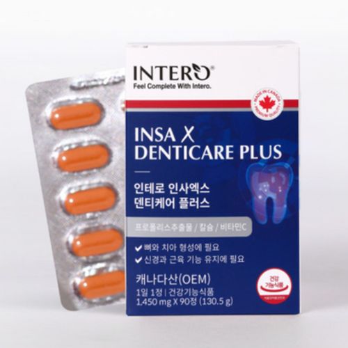 인사엑스 덴티케어 플러스