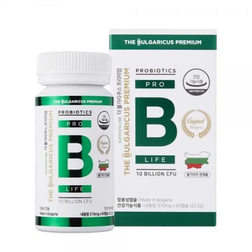 더 불가리쿠스 프리미엄