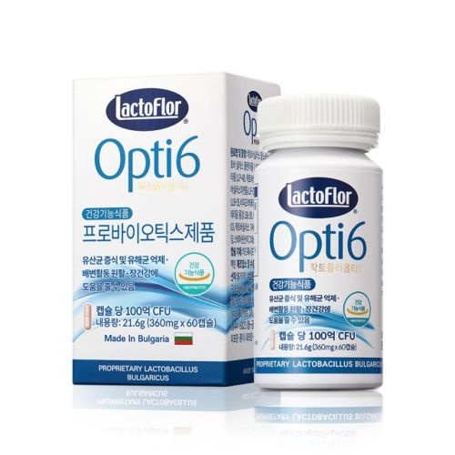 옵티6