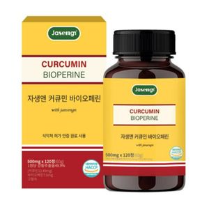 커큐민 바이오페린