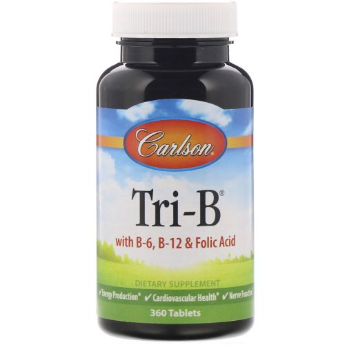 트라이 B