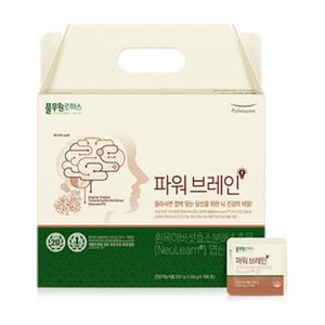 파워브레인