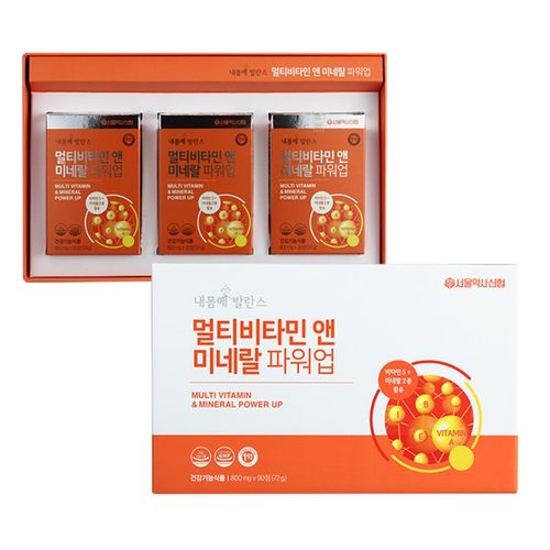 내몸애 발란스 멀티비타민 앤 미네랄 파워업