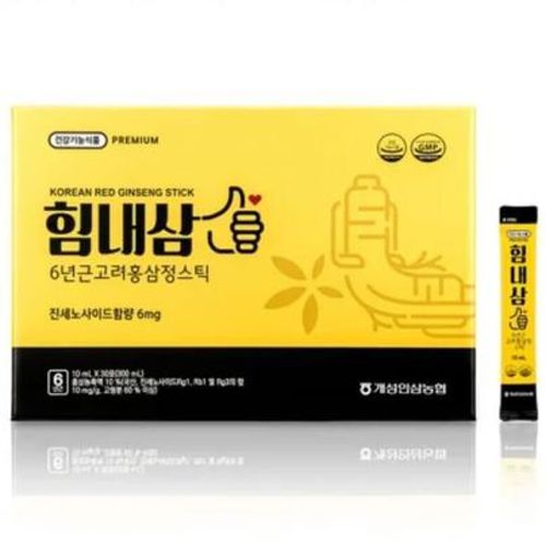 힘내삼