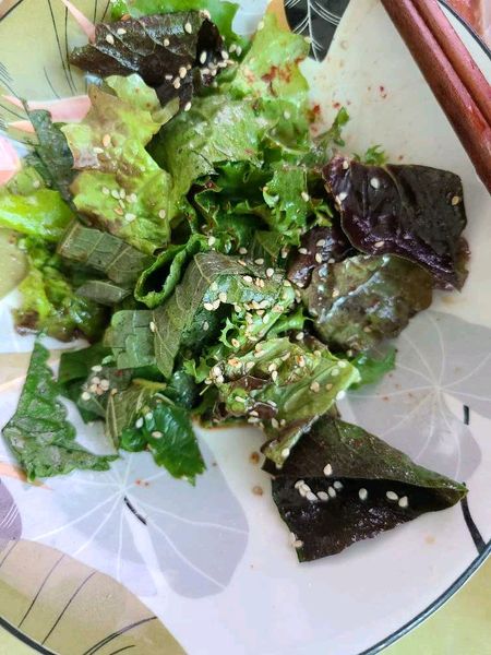 サンチュと葉野菜の浅漬けサラダのサムネイル
