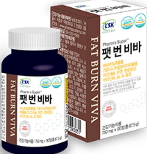 팻 번 비바