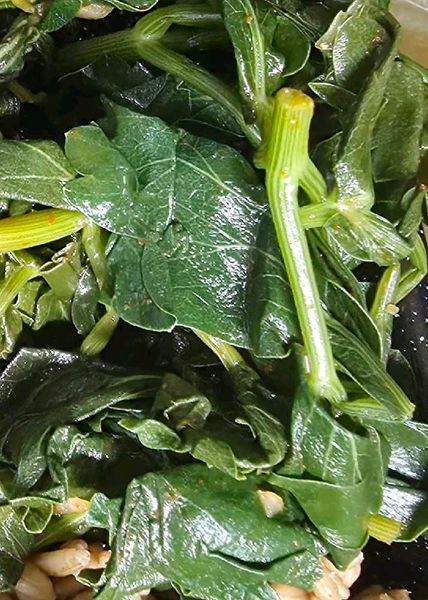 🥗 ボウフウのナムルのサムネイル